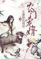 农门宠婿